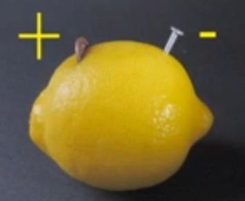 圖、檸檬電池的做法